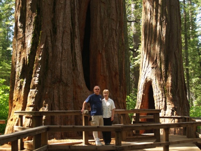 Calaveras Big Trees