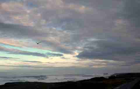 california beaches at sunset. A Rainy Day At Fort Bragg, CA!