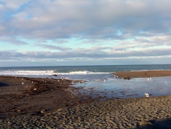 Northern California Beaches
