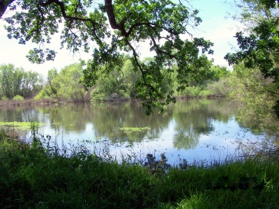 Slough... Cosumnes River