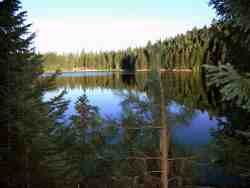 Sugar Pine Reservoir