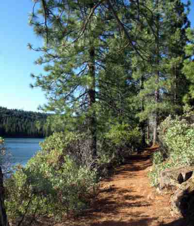 Sugar Pine Reservoir Hiking Trail