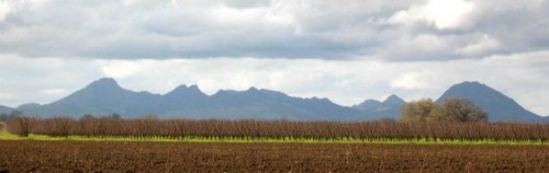 Sutter Buttes