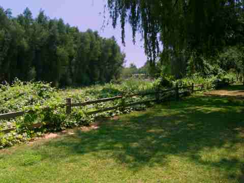 Colusa-Sacramento River State Recreation Area