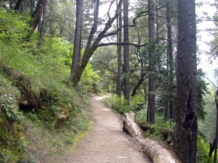 The Feather Falls Trail is another great California hiking trail.