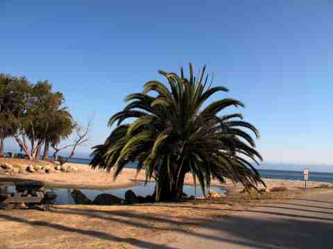 Refugio State Beach