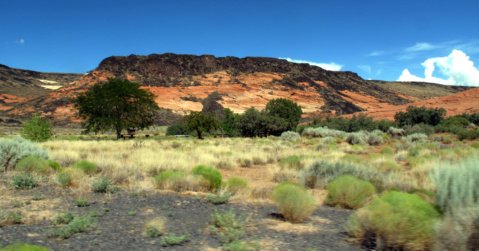 Snow Canyon Lava Flows