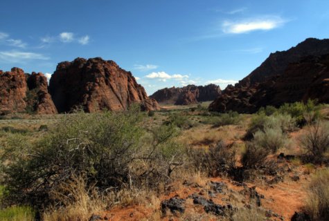 Snow Canyon Sandstone View